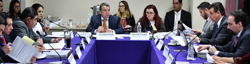 22 de marzo de 2018 | Aprueba la Comisión Permanente de Organización Electoral y Geoestadística la Convocatoria para la observación de la Consulta Ciudadana sobre Presupuesto Participativo 2019
