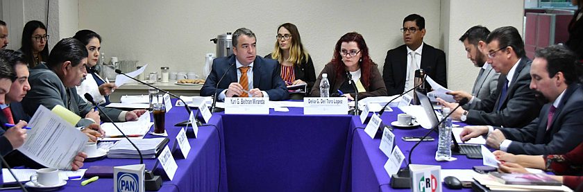 22 de marzo de 2018 | Aprueba la Comisión Permanente de Organización Electoral y Geoestadística la Convocatoria para la observación de la Consulta Ciudadana sobre Presupuesto Participativo 2019