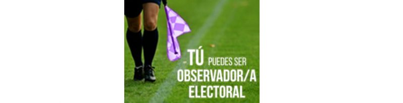 El IECM te invita a que seas observadora u observador de las elecciones.