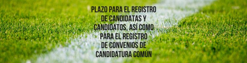 Plazo para el registro de candidatas y candidatos, así como para el registro de convenios de candidatura común.