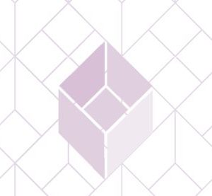 Presentación del Informe Final sobre el Análisis muestral de las boletas anuladas en el Proceso Electoral Local Ordinario 2017-2018 en la Ciudad de México | 19/03/2019
