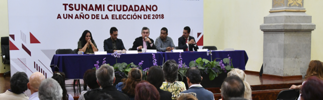Tsunami Ciudadano