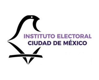 Historia del IECM