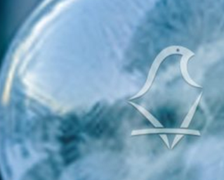 Artículo 121 – Fracción IV