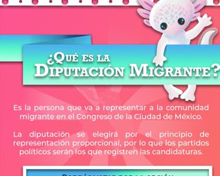 Define IECM estrategia para Voto Chilango desde el extranjero 