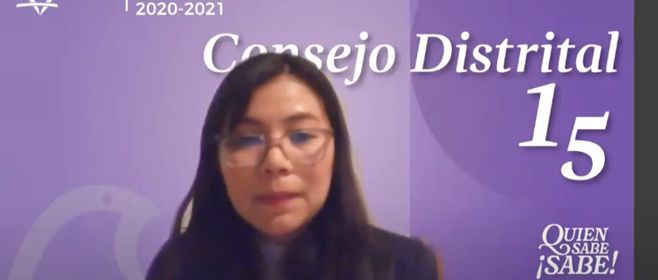 De manera simultánea, realizan los 33 Consejos Distritales del IECM, primera sesión ordinaria virtual de trabajo