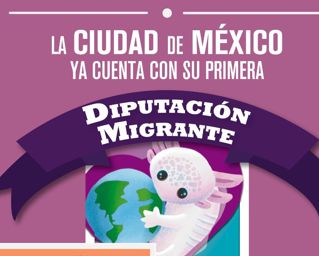 Ofrece IECM resultados de elección de Diputación Migrante