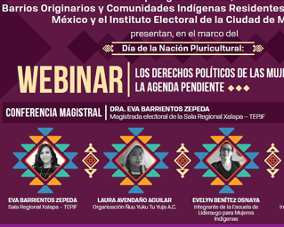 Conmemora IECM Día de la Nación Pluricultural, con Webinar