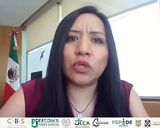 Plantea Consejera Electoral Sonia Pérez Pérez implementación de justicia intrapartidaria para atender casos de violencia política contra las mujeres