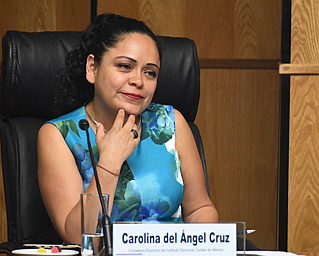 Eliminar áreas de género y derechos humanos, retroceso en la lucha contra  violencia política en razón de género: Consejera Carolina del Ángel Cruz