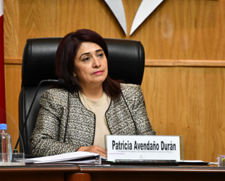 Indispensable la confianza ciudadana para implementar voto electrónico en el país: Consejera Presidente del IECM