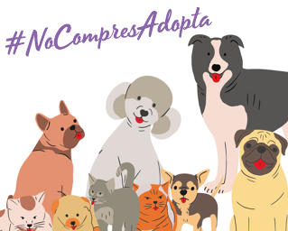 En estas fechas especiales #NoCompresAdopta