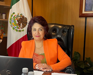 Desconocimiento, determinante en el ejercicio de  la Violencia Política de Género