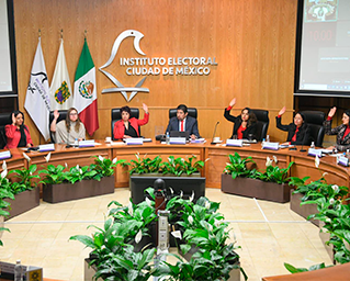 Valida IECM firmas para iniciativa ciudadana contra maltrato animal