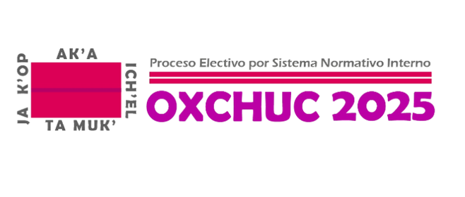 Convocatoria personas Observadoras Ciudadanas