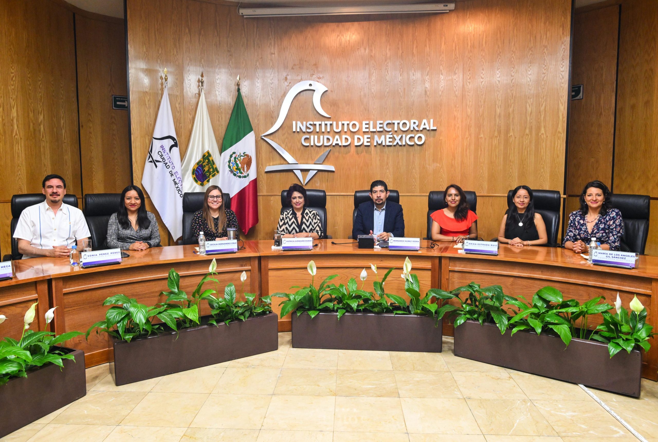 97% de las candidaturas al Poder Judicial Local capturaron información en el Sistema Conóceles Judicial del IECM