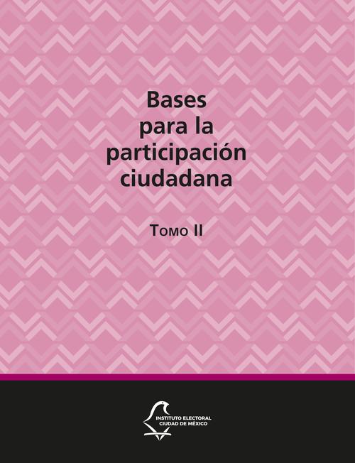 Bases para la participación ciudadana. Tomo II