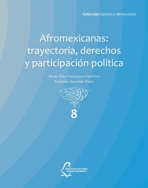 Afromexicanas: trayectoria, derechos y participación política (vol. 8)