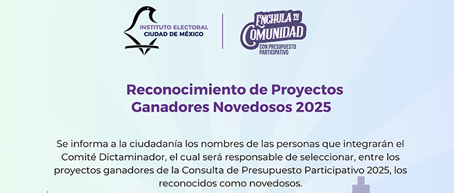Comité Dictaminador de los Proyectos Ganadores Novedosos 2025
