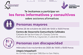 Continúan foros informativos y consultivos para promover participación política de las personas integrantes de grupos de atención prioritaria