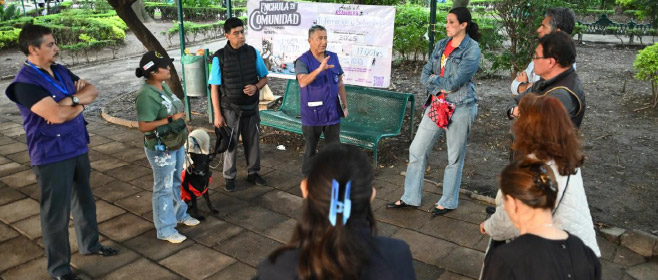 Aprueba IECM Lineamientos del Comité Dictaminador para el Reconocimiento de los Proyectos Ganadores Novedosos 2025