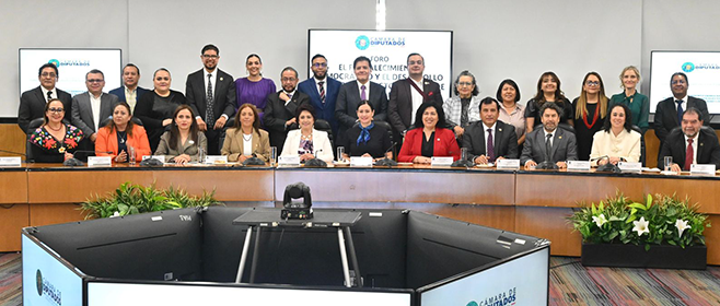 Plantean OPLES de 17 entidades propuestas a la Comisión de Reforma Política Electoral de la Cámara de Diputados Federal