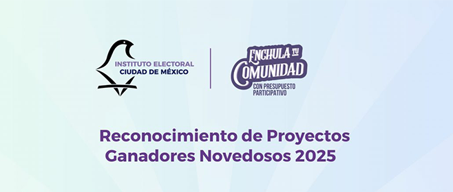 Listado de proyectos que resultaron ganadores del concurso de reconocimiento de proyectos ganadores novedosos 2025