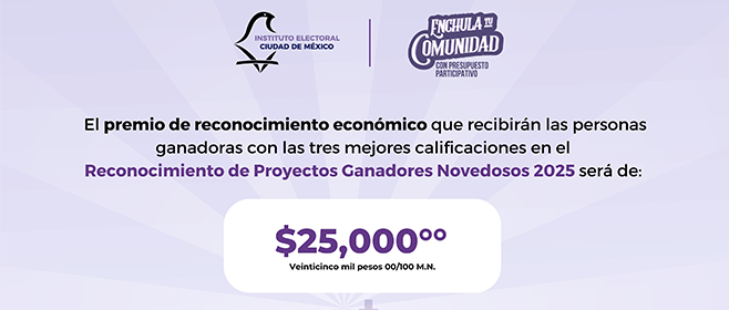 Reconocimiento de Proyectos Ganadores Novedosos 2025.