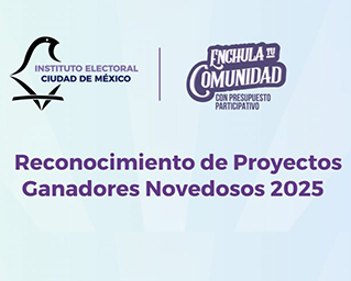 Listado de proyectos que resultaron ganadores del concurso de reconocimiento de proyectos ganadores novedosos 2025