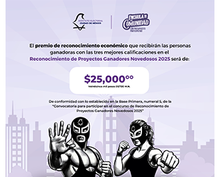 Reconocimiento de Proyectos Ganadores Novedosos 2025.