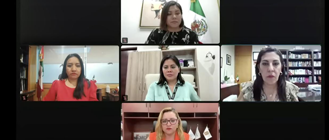 Promueve IECM publicaciones en materia de género, en el marco de la 4ª Feria del Libro del INE