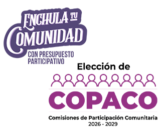 Convocatorias