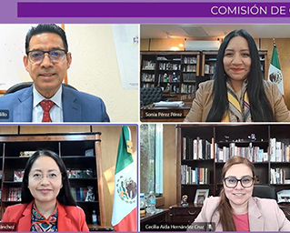 Comisión de Quejas del IECM resuelve asuntos relacionados con promoción personalizada y uso indebido de recursos públicos