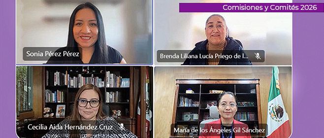 Aprueba IECM medidas de protección en casos de  violencia política en razón de género