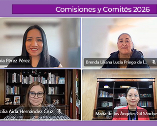 Aprueba IECM medidas de protección en casos de  violencia política en razón de género