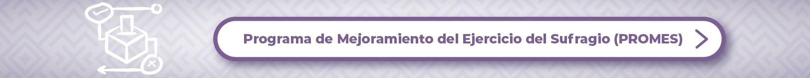 PROMES Programa de Mejoramiento del Sufragio