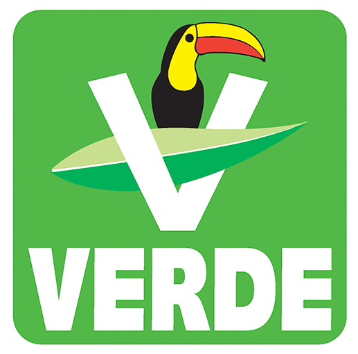 PARTIDO VERDE