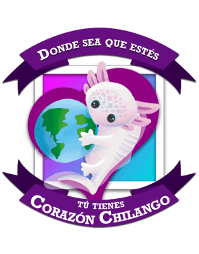 Diputación Migrante Voto Chilango Ajolote Axolotl