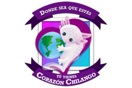 Actas de cómputo Diputación Migrante