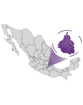 Candidaturas A Las Diputaciones De Representacion Proporcional De La Ciudad De Mexico