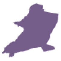 dt