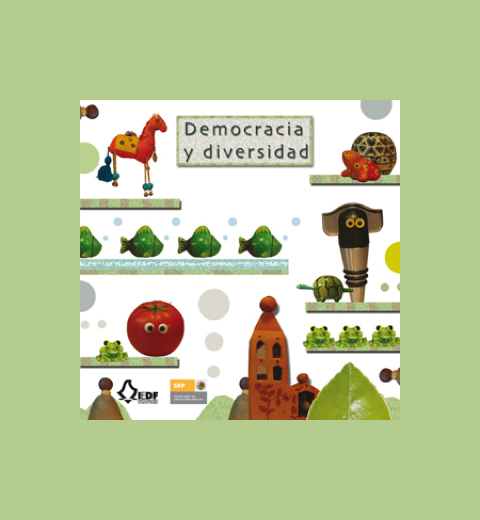 Portfolio Image