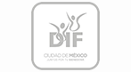 Instituciones amigas Instituto Electoral de la Ciudad de México