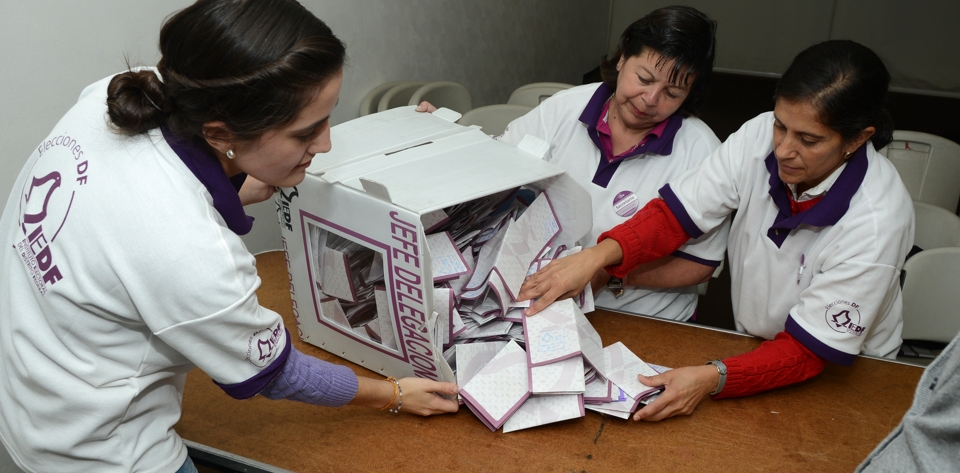 Observadores Electorales