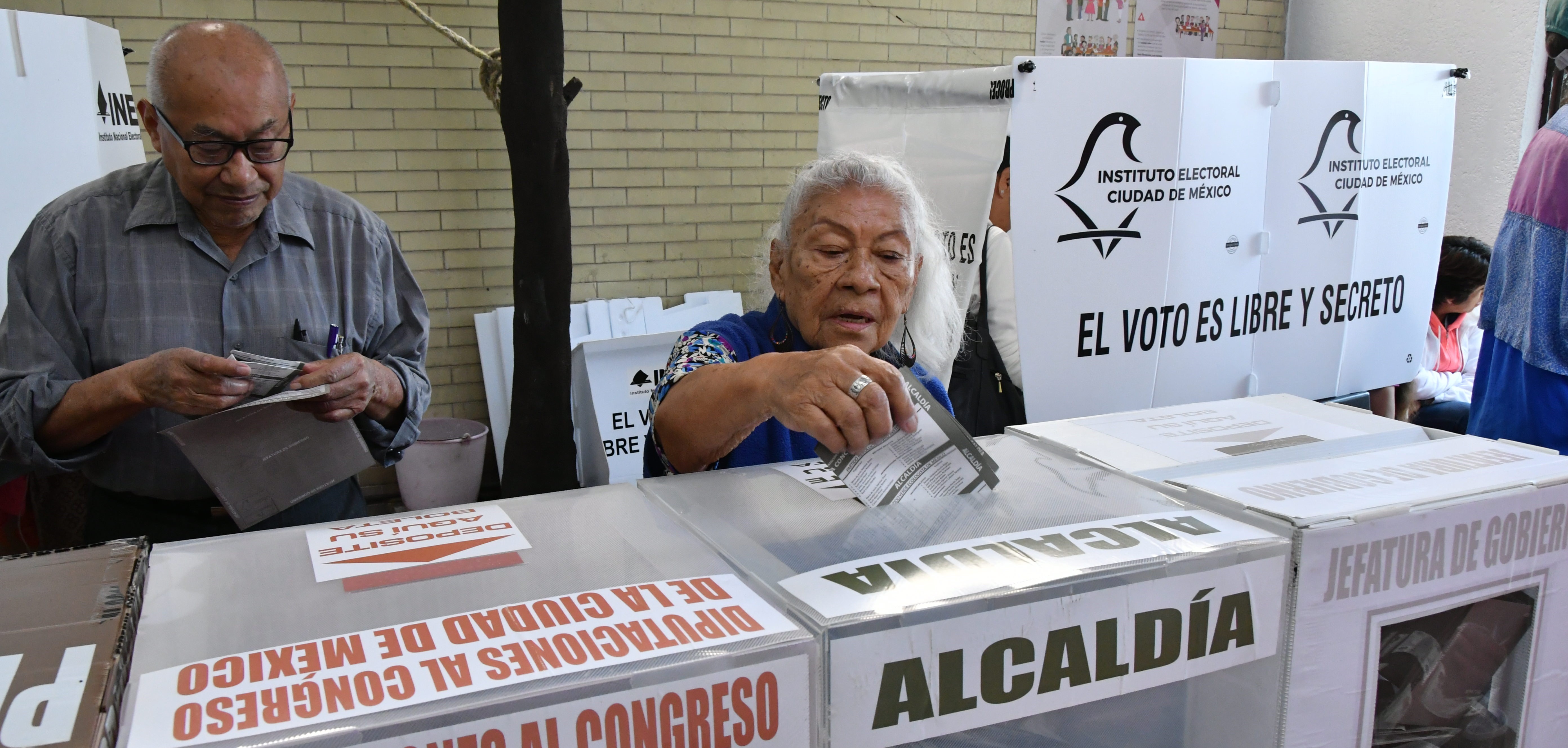 imagen-de-fondo-carrusel-persona-votando