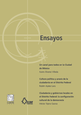 Ensayos VI