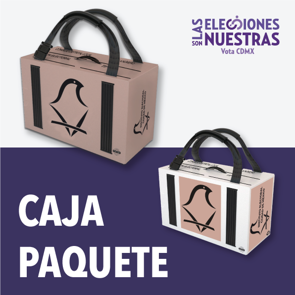 Caja paquete