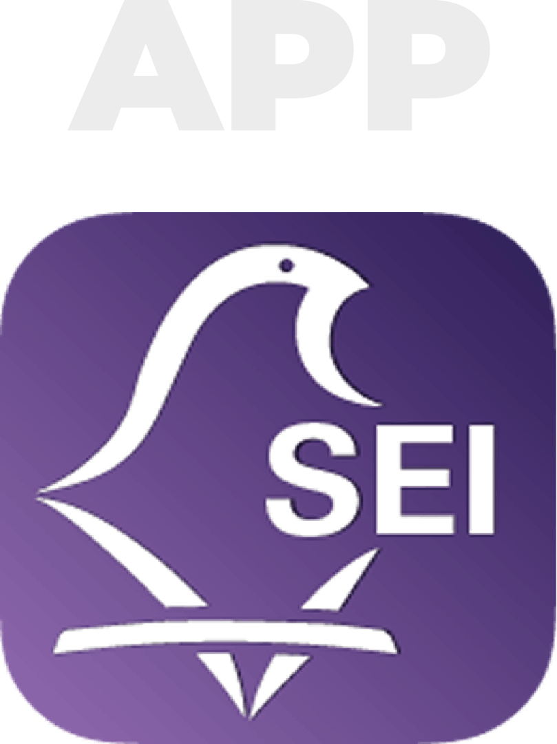 Vota por internet en la APP SEI del IECM