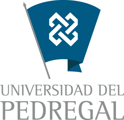 Universidad del Pedregal