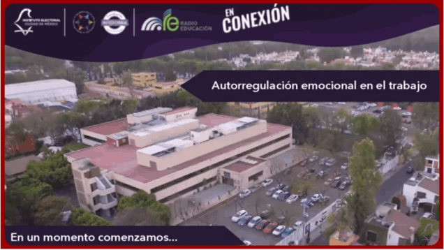 Autorregulación emocional en el trabajo